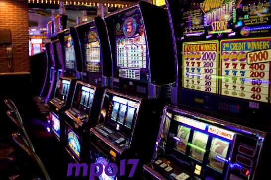 mpo17 editorial visual